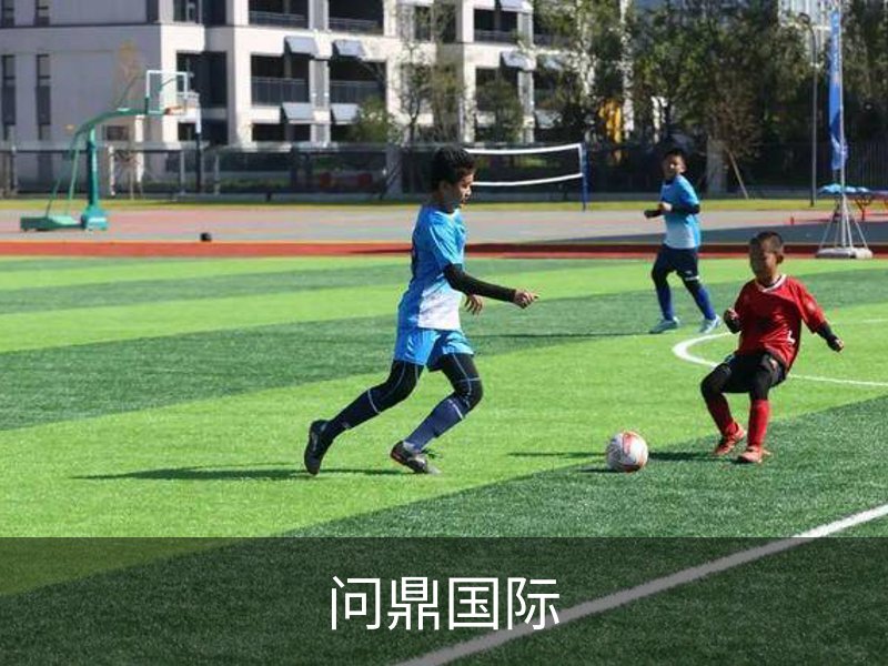 问鼎国际简介